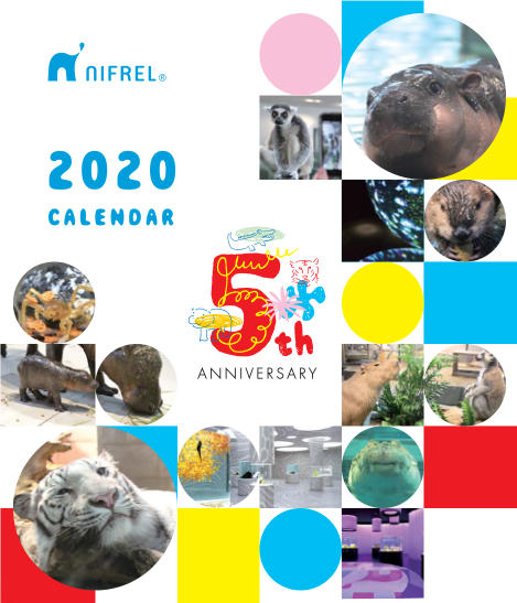 2020_nfl_calendar_nyuko_ol-1.jpg