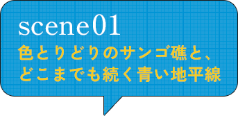 scene01 色とりどりのサンゴ礁と、どこまでも続く青い地平線