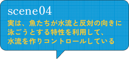 scene04 実は、魚たちが水流と反対の向きに 泳ごうとする特性を利用して、水流を作りコントロールしている