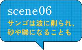 scene06 サンゴは波に削られ、 砂や礫になることも