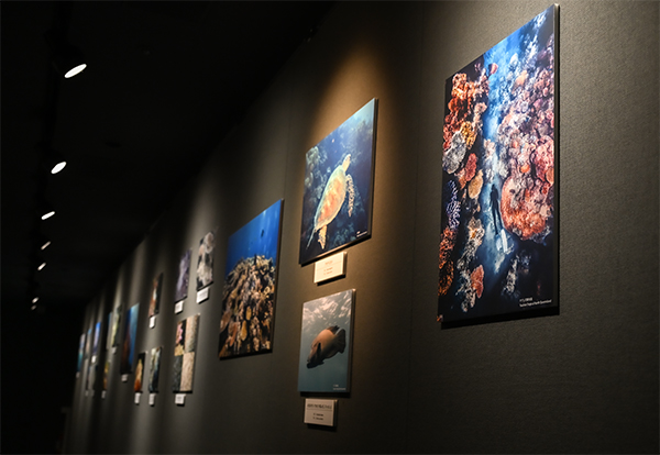 グレートバリアリーフ写真展