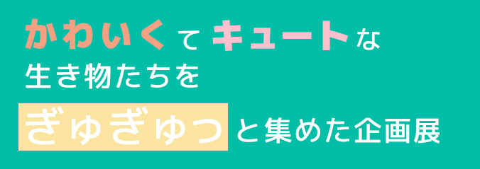 かわいくてキュートな生き物たちをぎゅぎゅっと集めた企画展