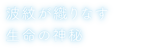 波紋が織りなす生命の神秘