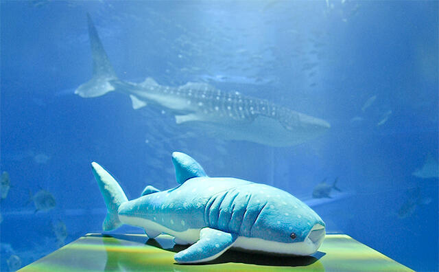 ピンク 星柄 ジンベエザメ ぬいぐるみ whale shark キラキラ