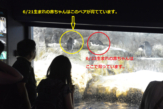 20150625_ade.png
