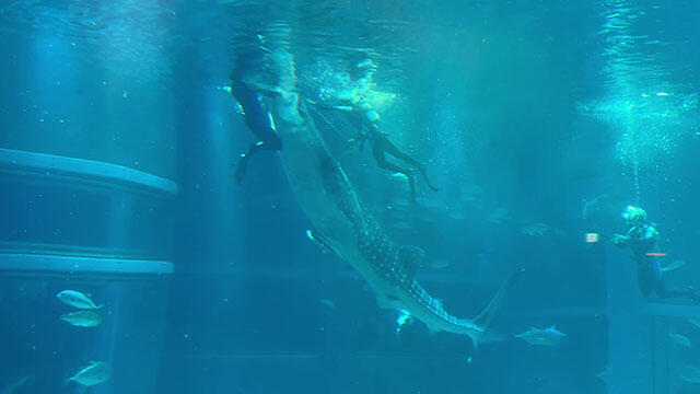 241101_keisoku.jpg