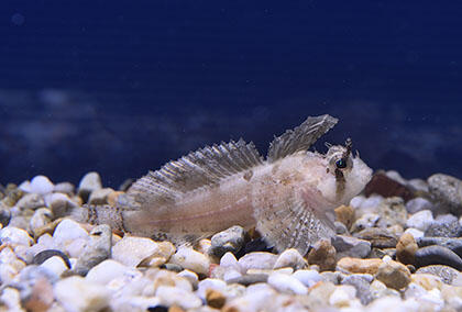 2610_arctic_01.jpg