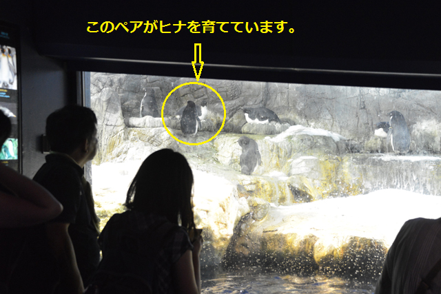 DSC_9807.png
