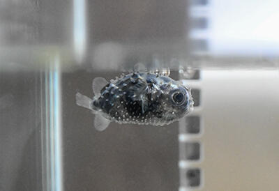 sumitsuki_2609_1.jpg