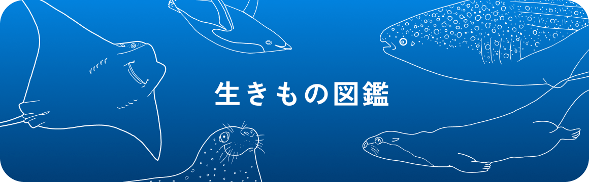 生きもの図鑑