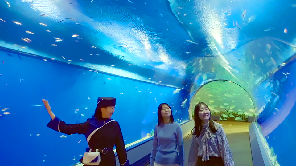 ★美品★海遊館パンフレット 大阪 海遊館10周年(2000年)パンフレット海遊館とベイエリアのおもしろ