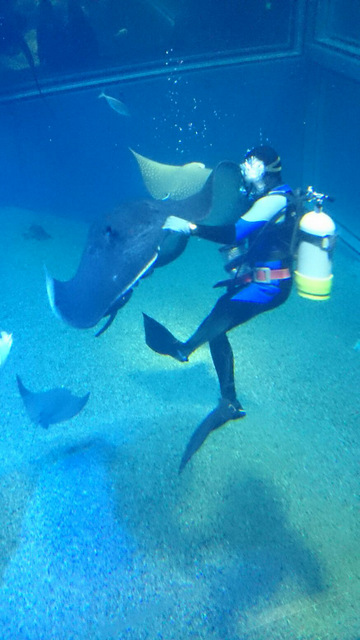 2diver-2.jpg