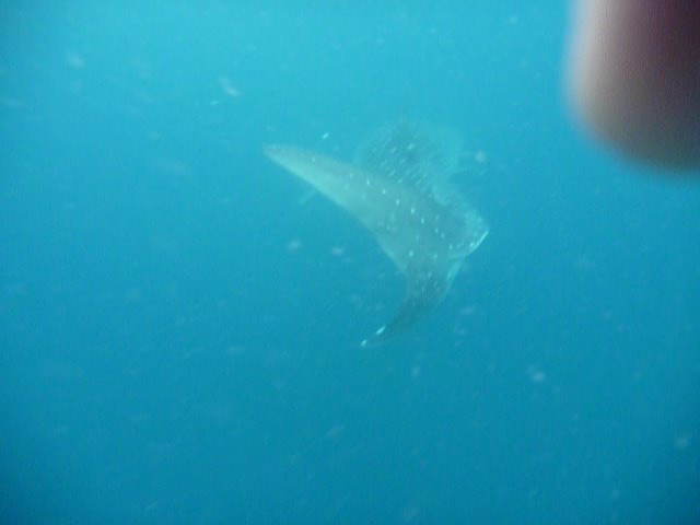 140226_03.jpg