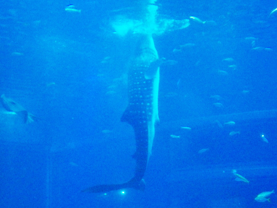 20130227_1.jpg
