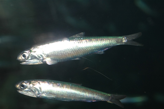 20140203_2_2.jpg