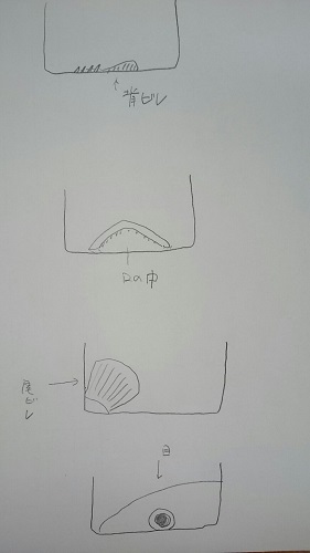 20160118_6.jpg
