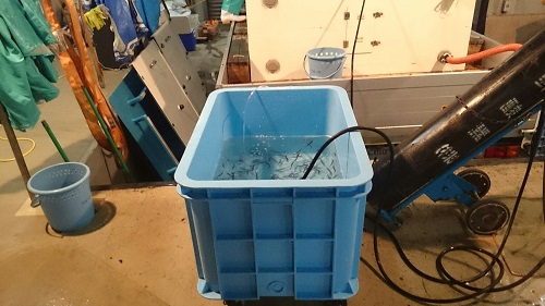 20160422_3.jpg
