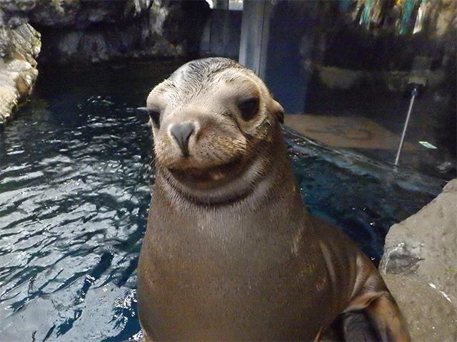 2012_rei_1.jpg