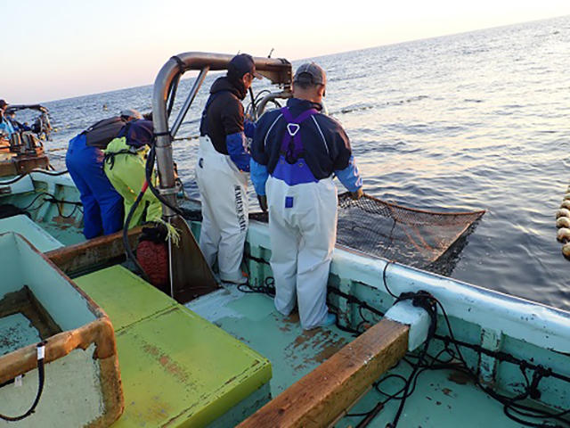 2012iburi35_09.jpg