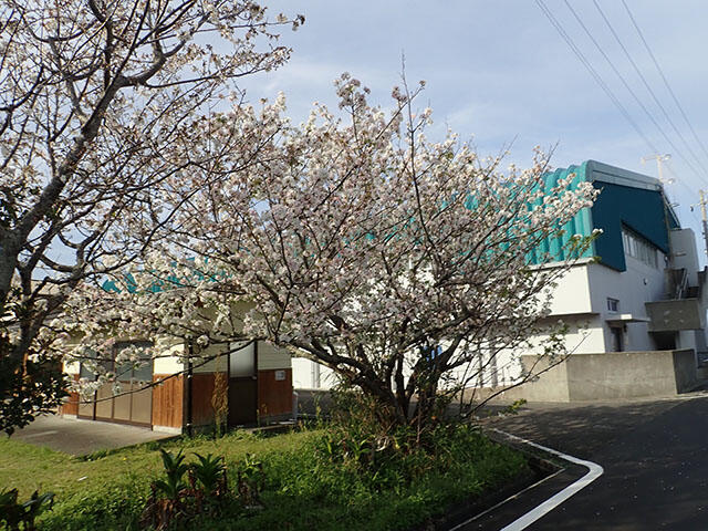 2304_iburi65_1.jpg