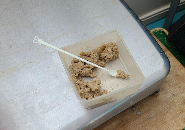 2310_kawauso_weaning_2.jpg