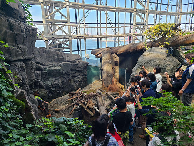 2405_kawausohat_01.jpg