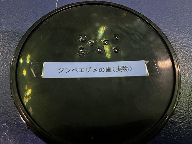 2406_iburi81_05.jpg