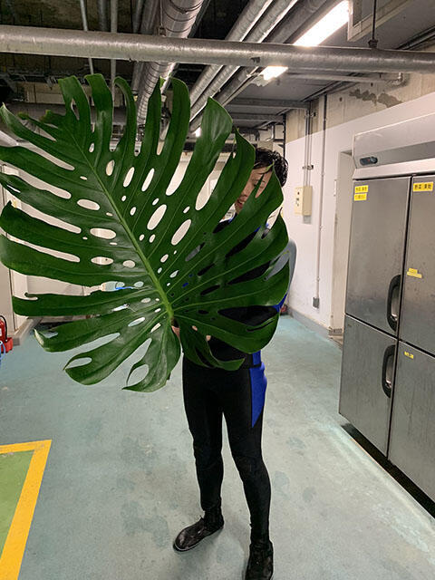 2407_monstera_02.jpg