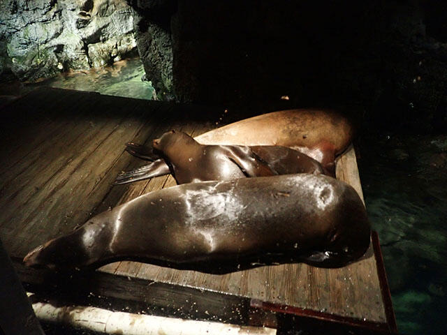 2407_night_01.jpg