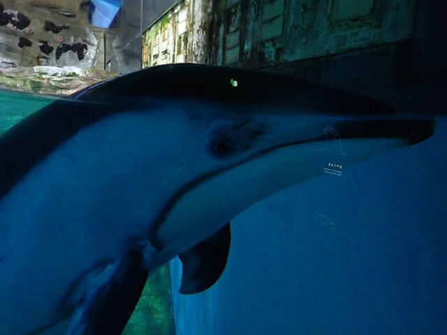 2407_night_04.jpg