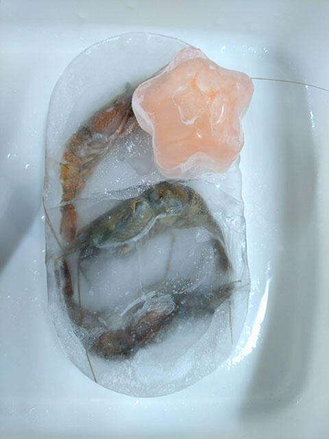 2409_cbibiuso_02.jpg