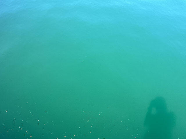 2409_iburi86_01.jpg