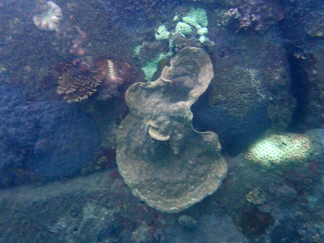 2411_iburi87_01.jpg