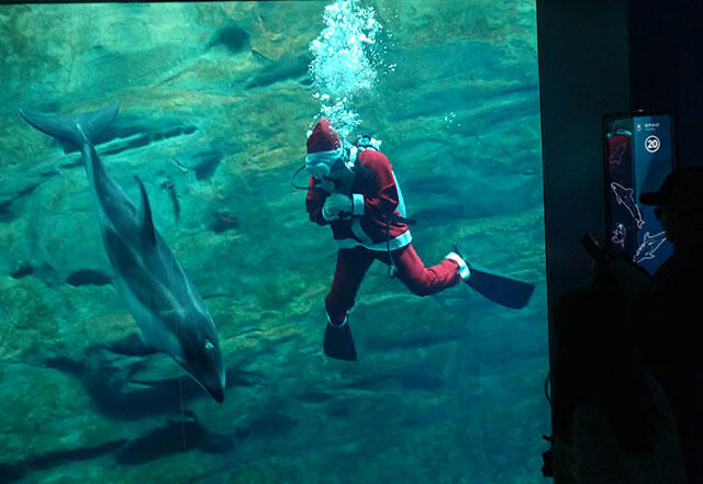 2412_santa_01.jpg