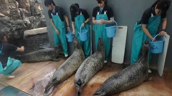 喧嘩 Or 求愛 海遊館とつながる 海遊館