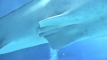 img08.jpg