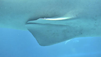 img09.jpg