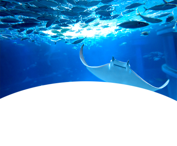 天保山マーケットプレース