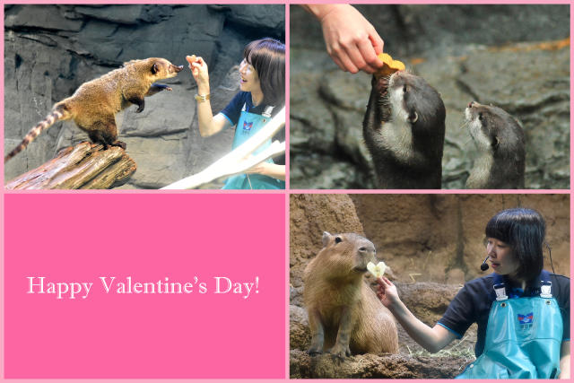 Happy-Valentine's-Day.jpg
