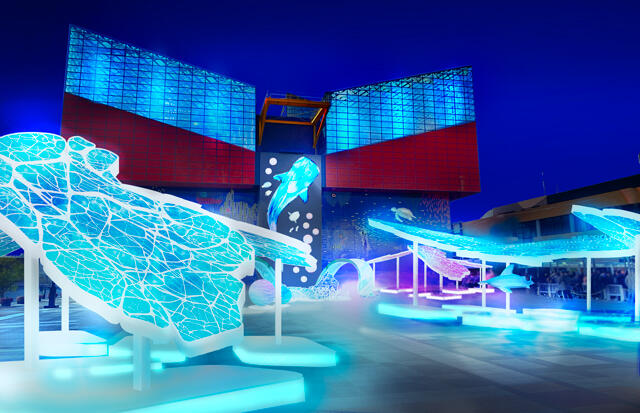 kaiyukan_2024_night_namima.jpg