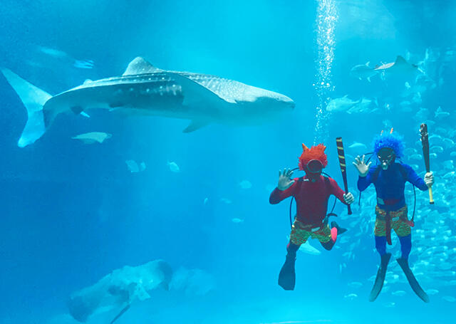 oni_diver230114.jpg