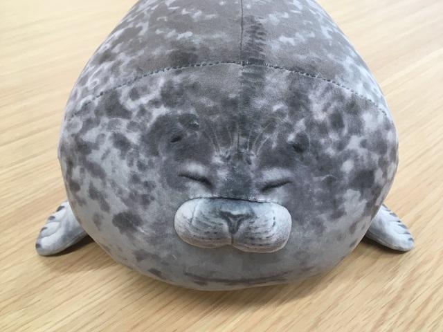 飼育員のこだわりが詰まった アザラシクッション が完成しました 海遊館ニュース 海遊館とつながる 海遊館 飼育員のこだわりが詰まった アザラシクッション が完成しました 海遊館ニュース 海遊館とつながる 海遊館