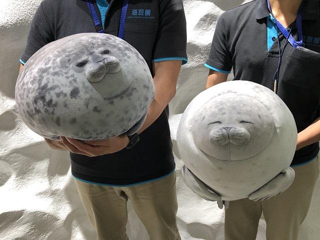 飼育員のこだわりが詰まった アザラシクッション が完成しました 海遊館ニュース 海遊館とつながる 海遊館