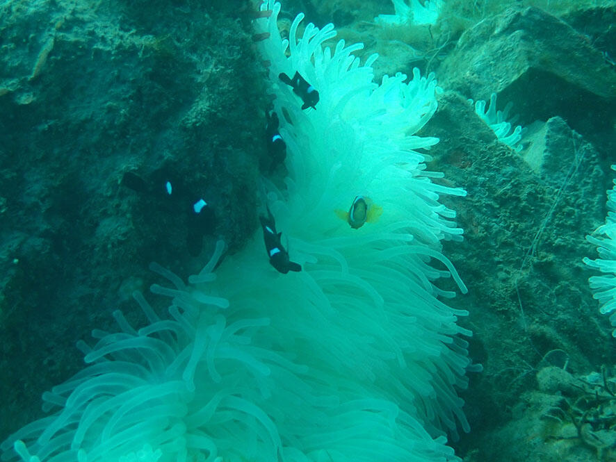 2503_iburi94_03.jpg