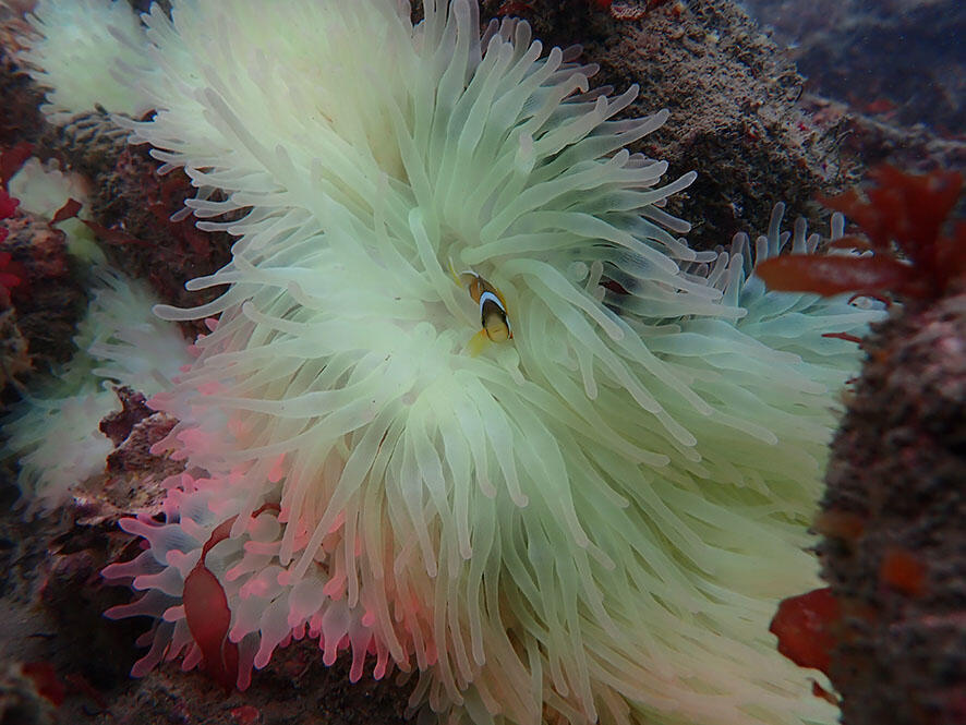 2503_iburi94_04.jpg