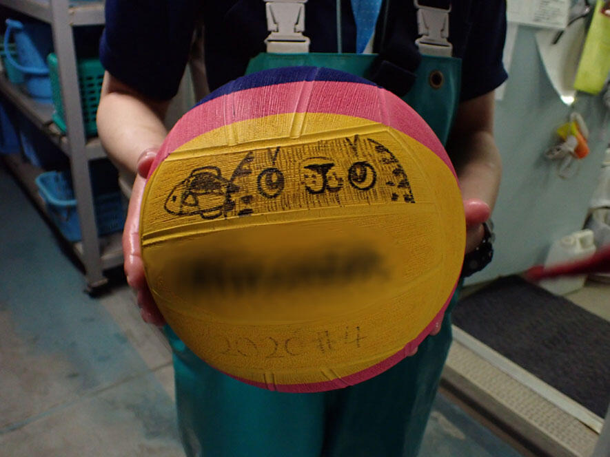 2503_newball_01.jpg