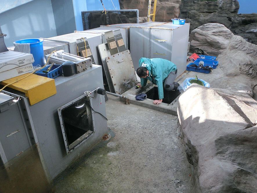 2503_ozon_01.jpg