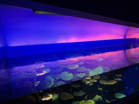 2504_bgr_sunset_03.jpg