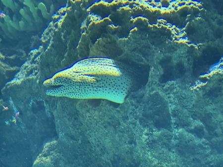 2504_gbr_02.jpg