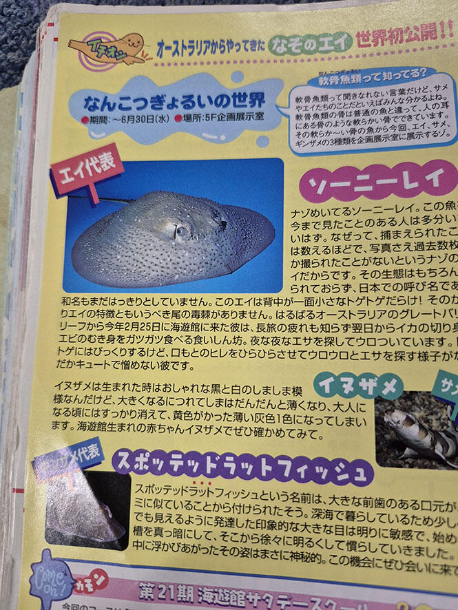 2504_hanatosakana_05.jpg